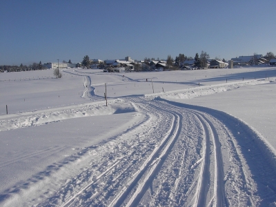 südlicher bayerischer Wald