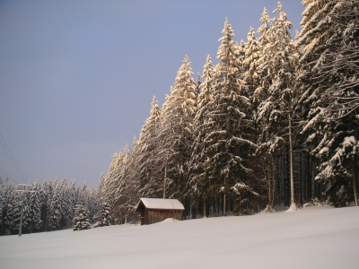 s&uuml;dlicher bayerischer Wald