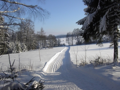 s&uuml;dlicher bayerischer Wald