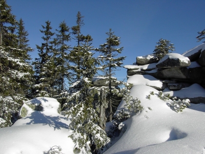 südlicher bayerischer Wald