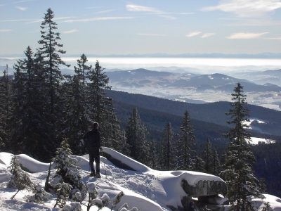 s&uuml;dlicher bayerischer Wald