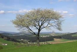 Urlaub in Süddeutschland