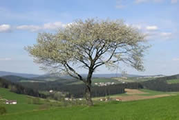 Urlaub in Süddeutschland