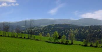 Fewo Bayerischer Wald