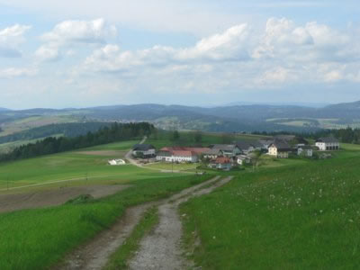 s&uuml;dlicher bayerischer Wald