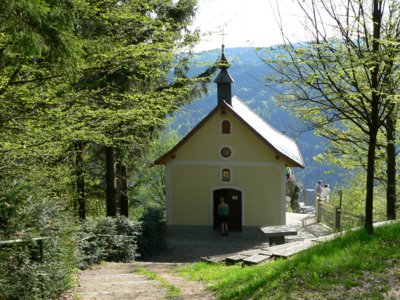 s&uuml;dlicher bayerischer Wald