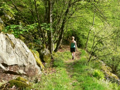 s&uuml;dlicher bayerischer Wald